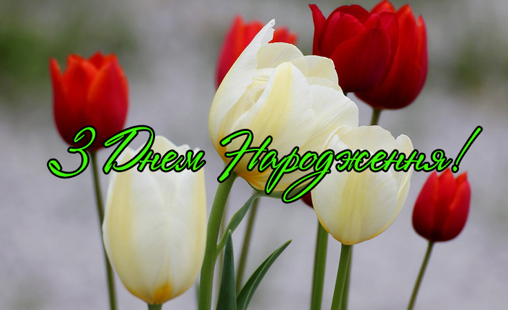 Короткі поздоровлення з днем народження