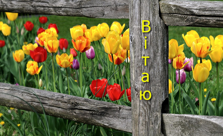 Смс поздоровлення з днем народження