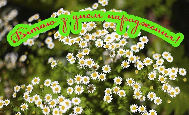 Sms поздоровлення з днем народження