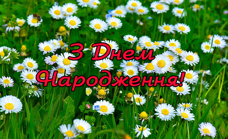 Найкращі поздоровлення з днем народження