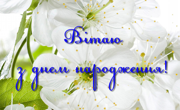 Прикольні поздоровлення з днем народження