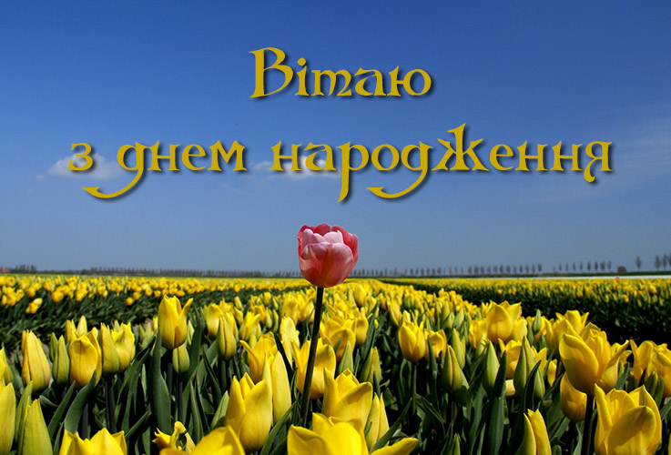 Класні поздоровлення з днем народження