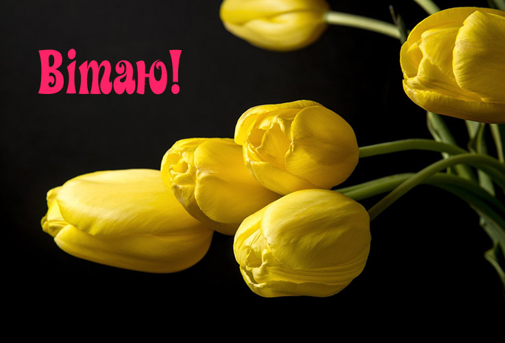 Жартівливі поздоровлення з днем народження