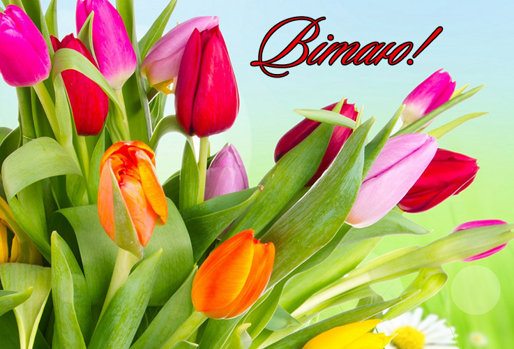 Поздоровляю з днем народження