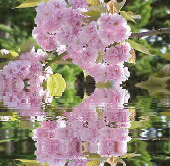 Поздравления с Днем Банковского Работника