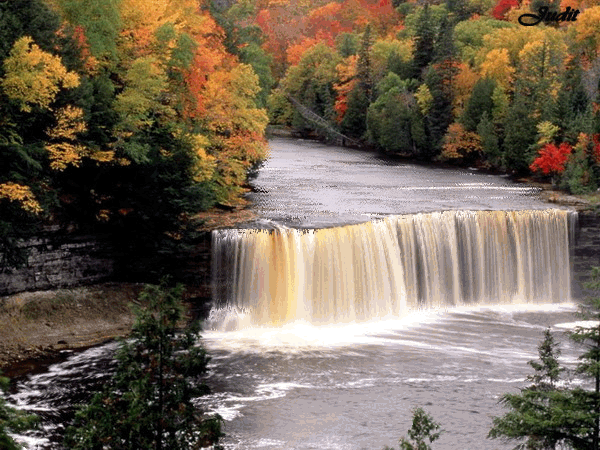 Поздравления с Днем Охраны Окружающей Среды