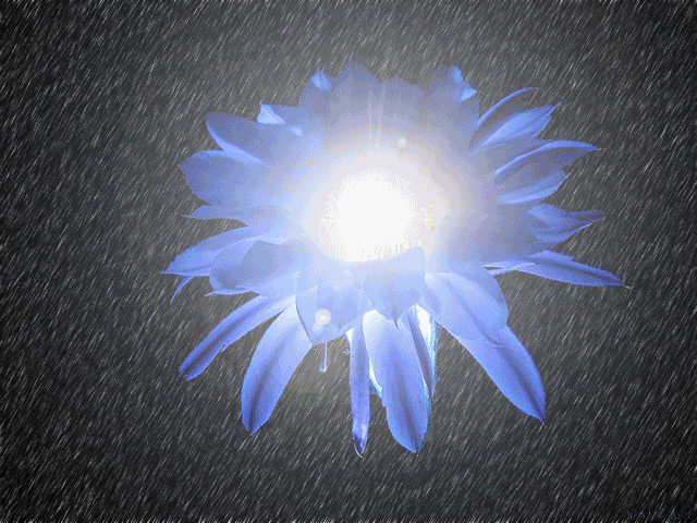 Поздравления с Днем Сотрудника Государственной Фельдъегерской Службы России