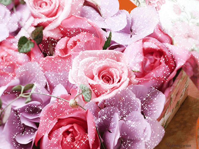 Поздравления с Днем Физкультурника