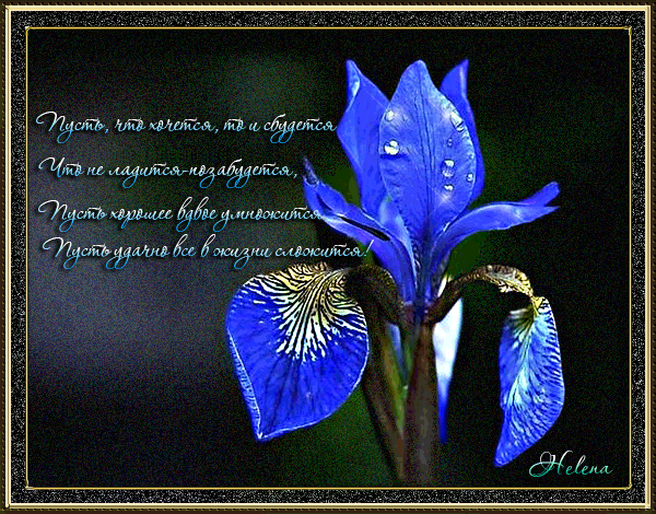 Поздравления с Днем Государственного Флага России