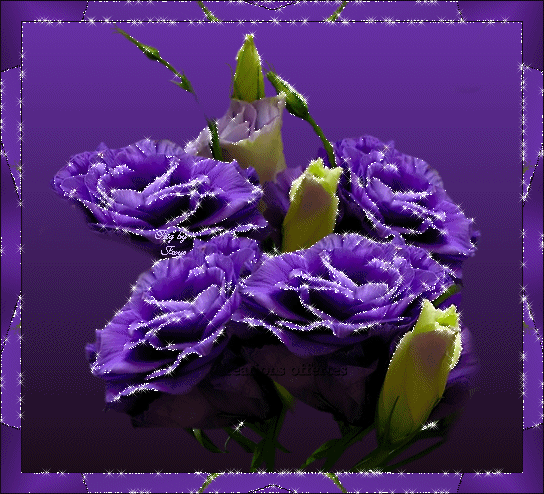 Поздравления с Днем Фрилансера