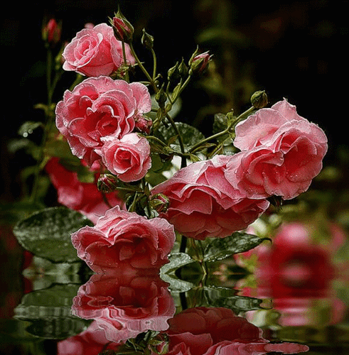 Поздравления с Днем Железнодорожника