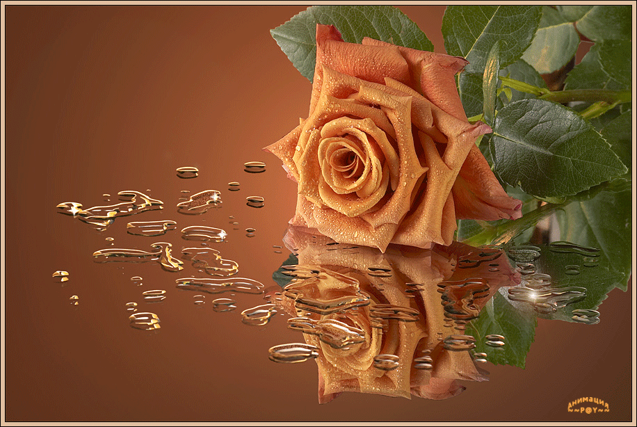 Поздравления с Днем Химика