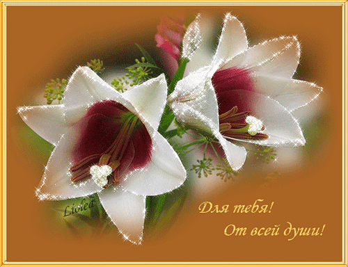 Поздравления с Днем Юриста