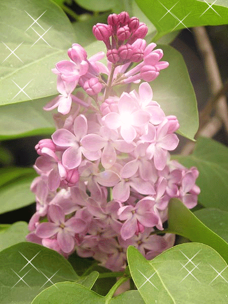 Поздравления с Днем Кооперации