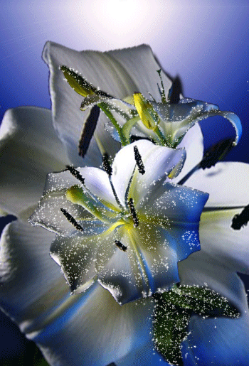 Поздравления с Днем Криминалистики