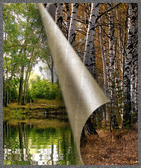 Поздравления с Днем Работников Леса