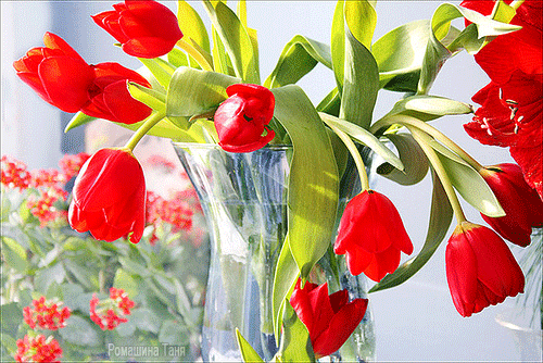 Поздравления с Днем Медицинских Сестер