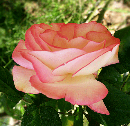 Поздравления с Днем Метро