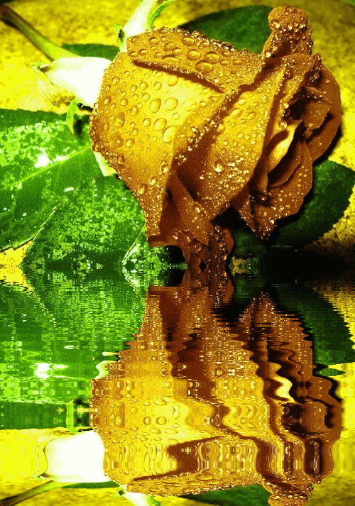 Поздравления с Днем Транспортной Милиции