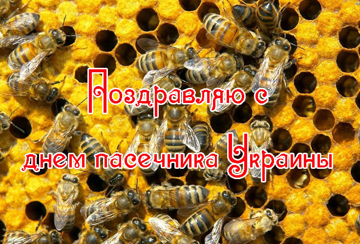 Поздравления с Днем Пасечника Украины