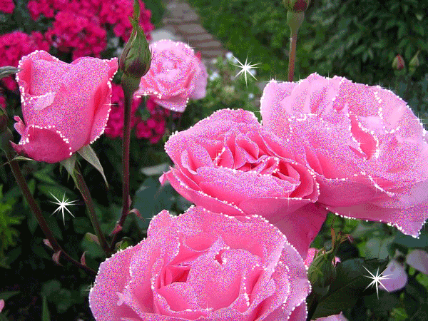 Поздравления с Днем Пограничника