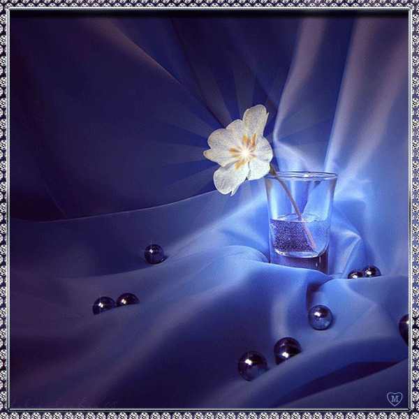 Поздравления с Днем Прав Человека