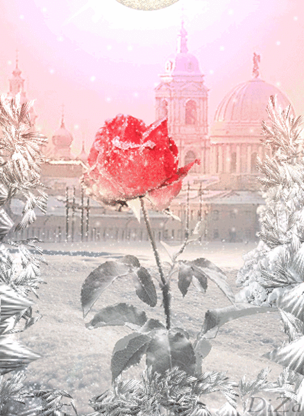 Поздравления с Днем Признания Петербурга