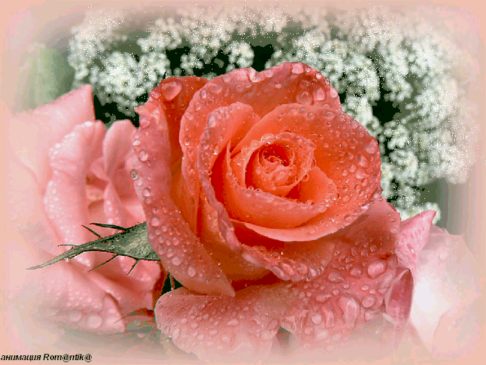 Поздравления с Днем Программиста