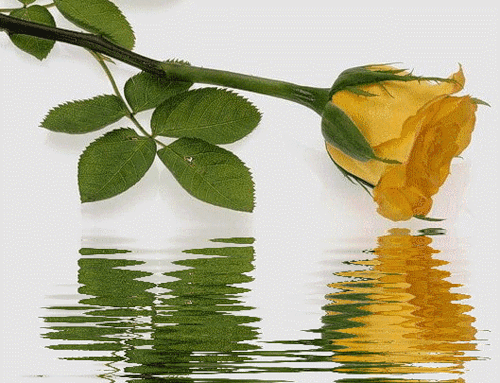 Поздравления с Днем Работника Культуры