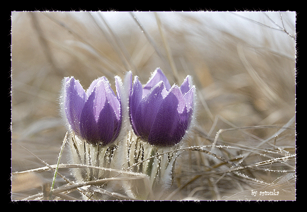 Поздравления с Днем Радио
