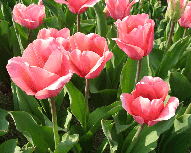 Поздравления с Днем Специалиста по Радиоэлектронной Борьбе