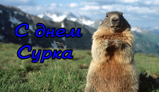 Поздравления с Днем Сурка