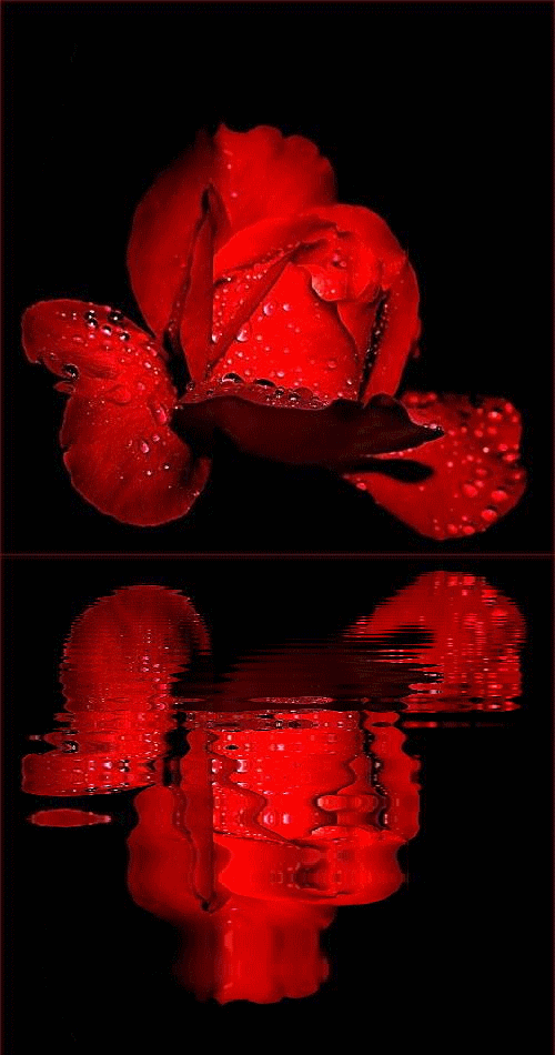 Поздравления с Днем Участкового