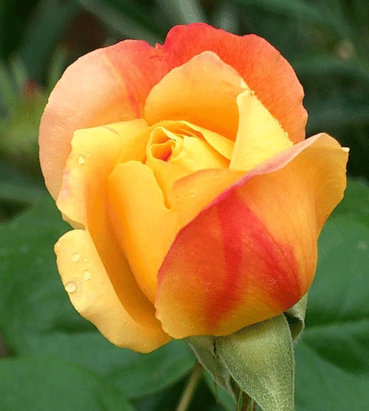 Поздравления с Днем Военно-Воздушных Сил