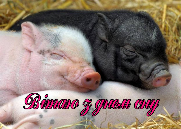 Привітання з Днем Сну