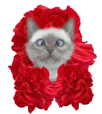 Привітання з 1 Квітня