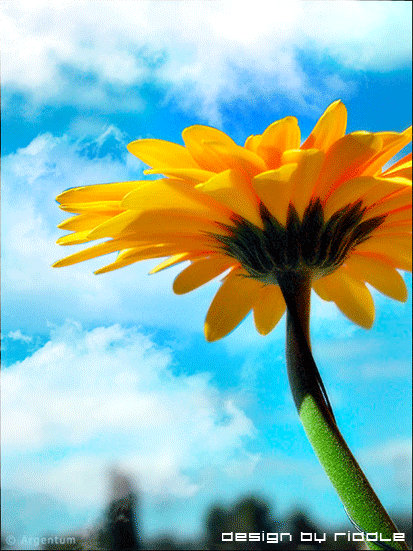 Привітання з Днем Українського Кіно