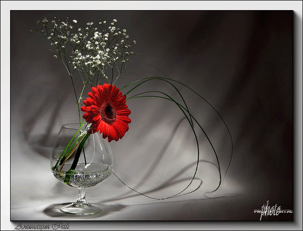 Привітання з Днем Молоді