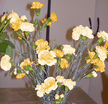 Привітання з Днем Письменника