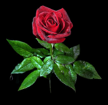 Привітання з Днем Поезії