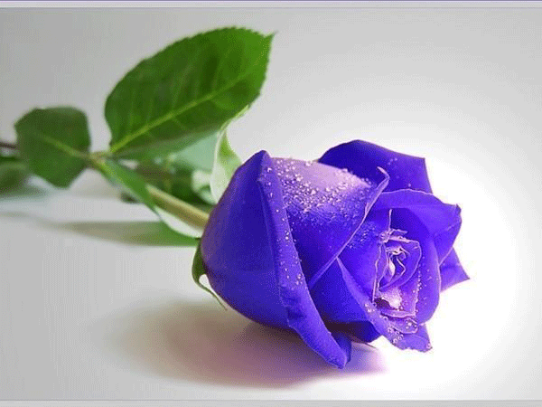 Привітання з Днем Прикордонника